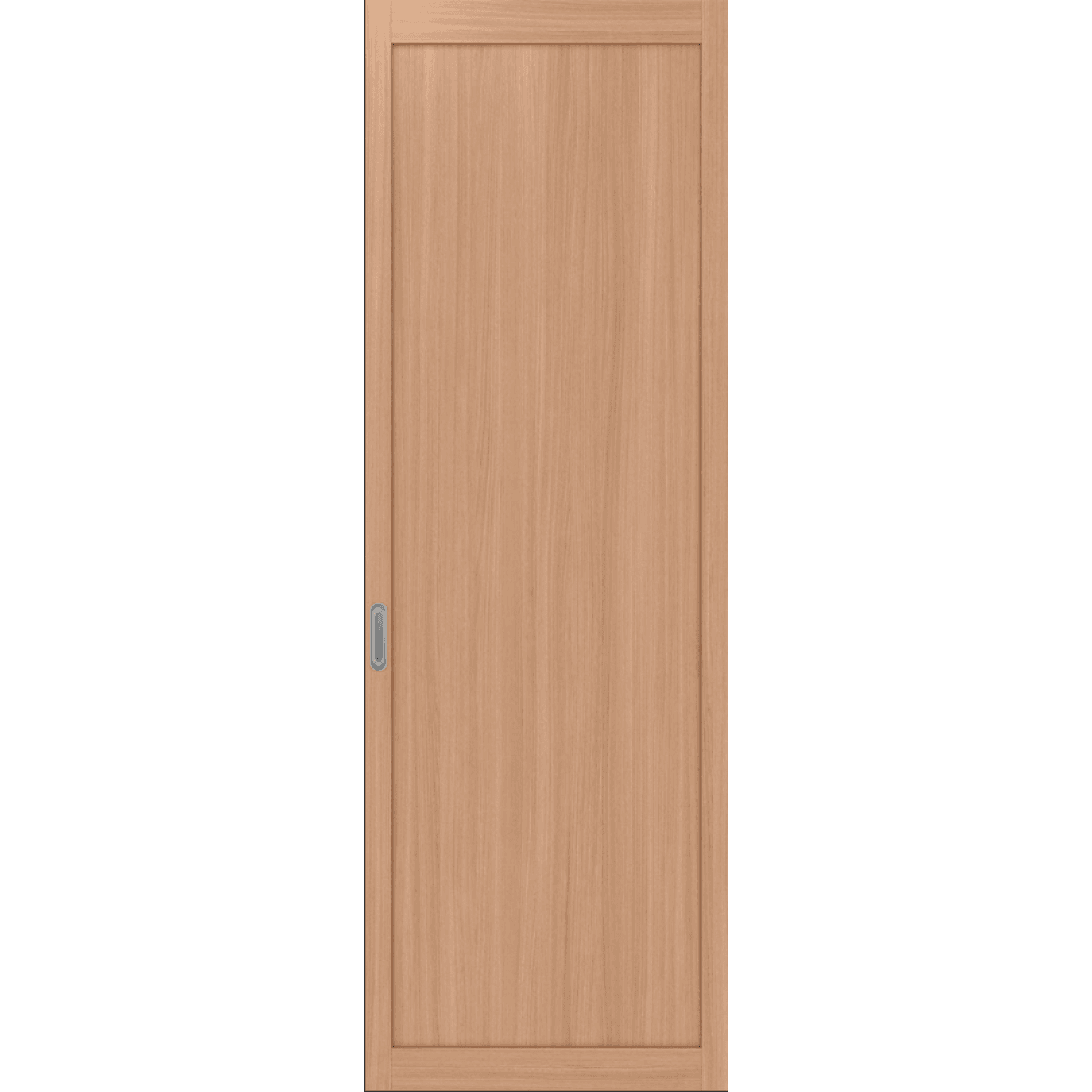 101.1 ЭКО шпон Ясень тёмный